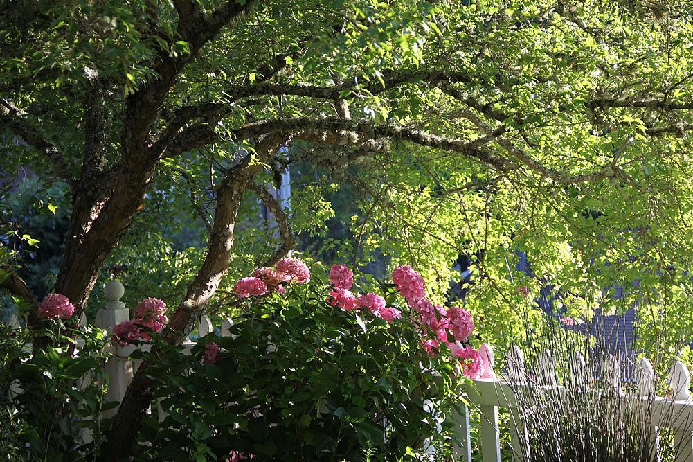 Inn At Occidental Buitenkant foto